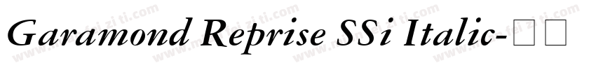 Garamond Reprise SSi Italic字体转换
